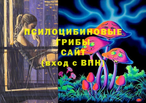 apvp Алзамай