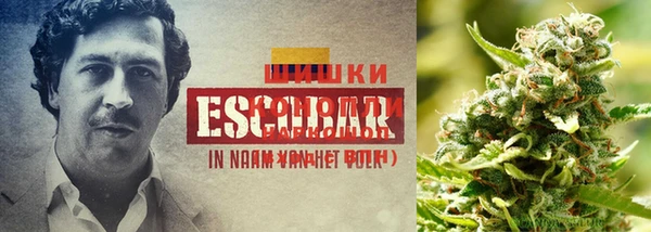ECSTASY Саяногорск