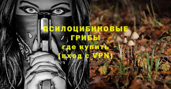 ECSTASY Саяногорск
