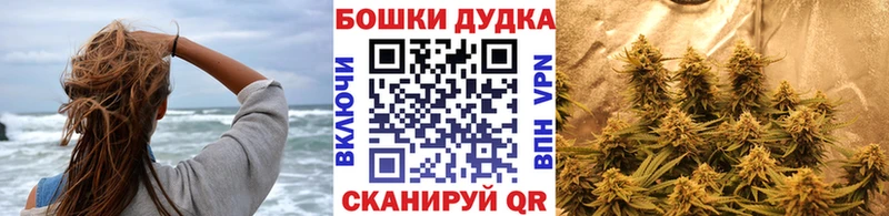 Бошки марихуана MAZAR  MEGA зеркало  Гвардейск  дарнет шоп 